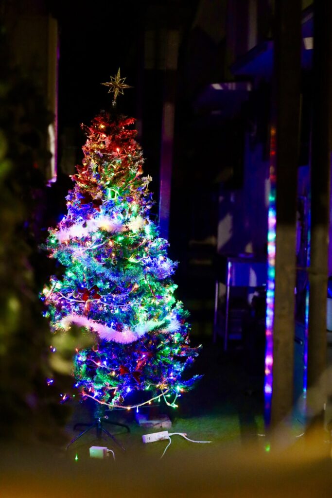 クリスマスツリー