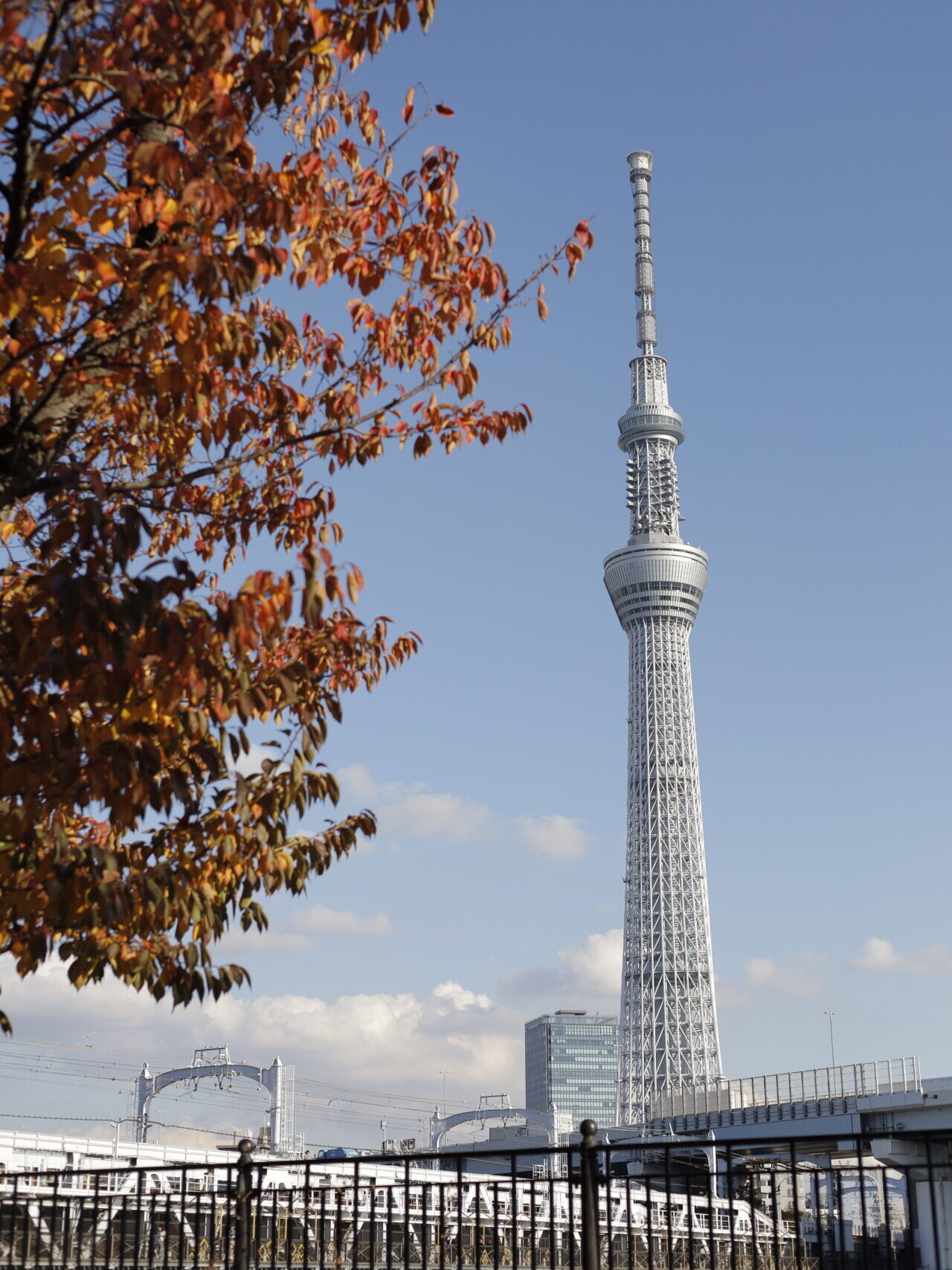 スカイツリー
